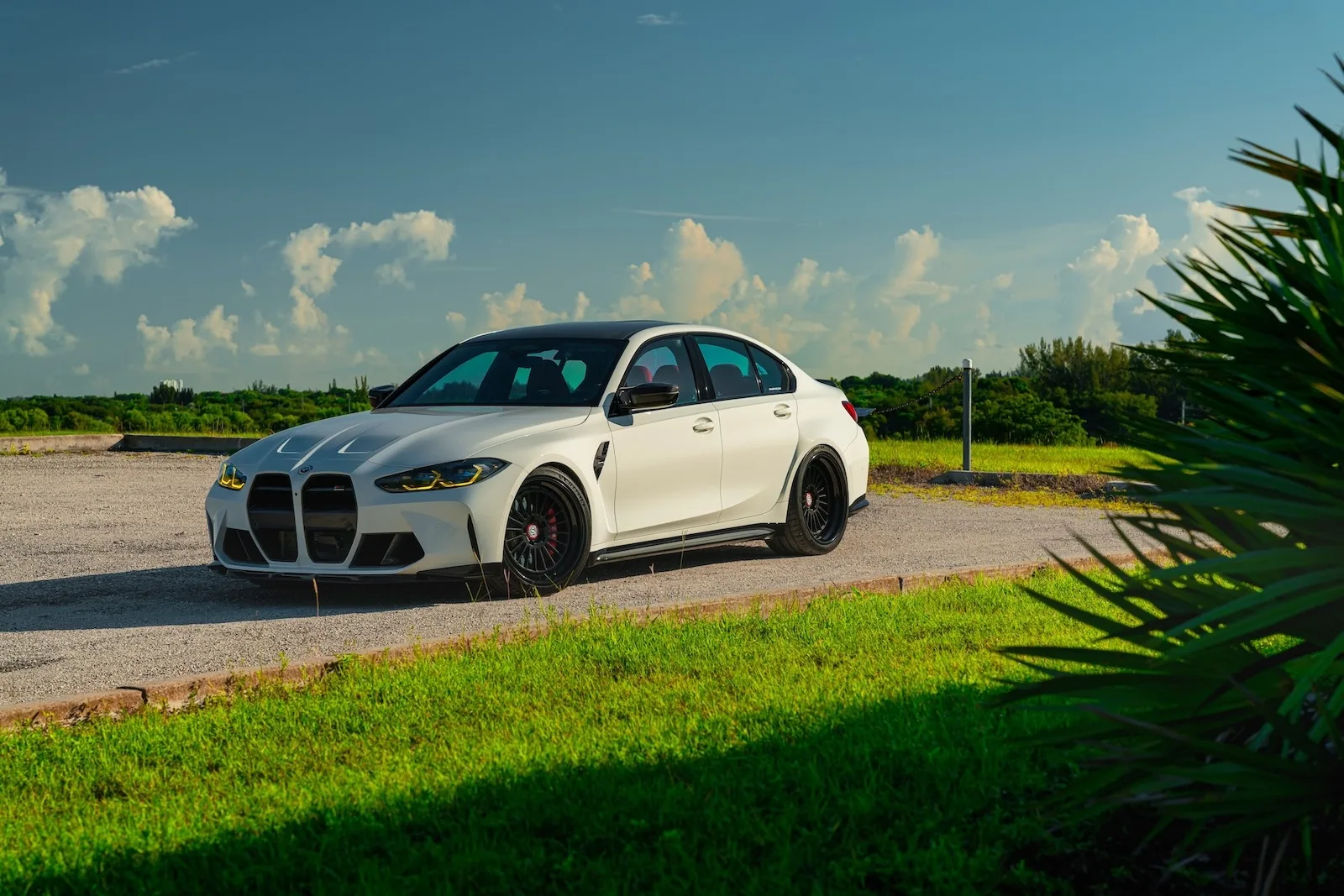 Strasse SV20 Track Series on BMW M3 G80.1, photo 2
