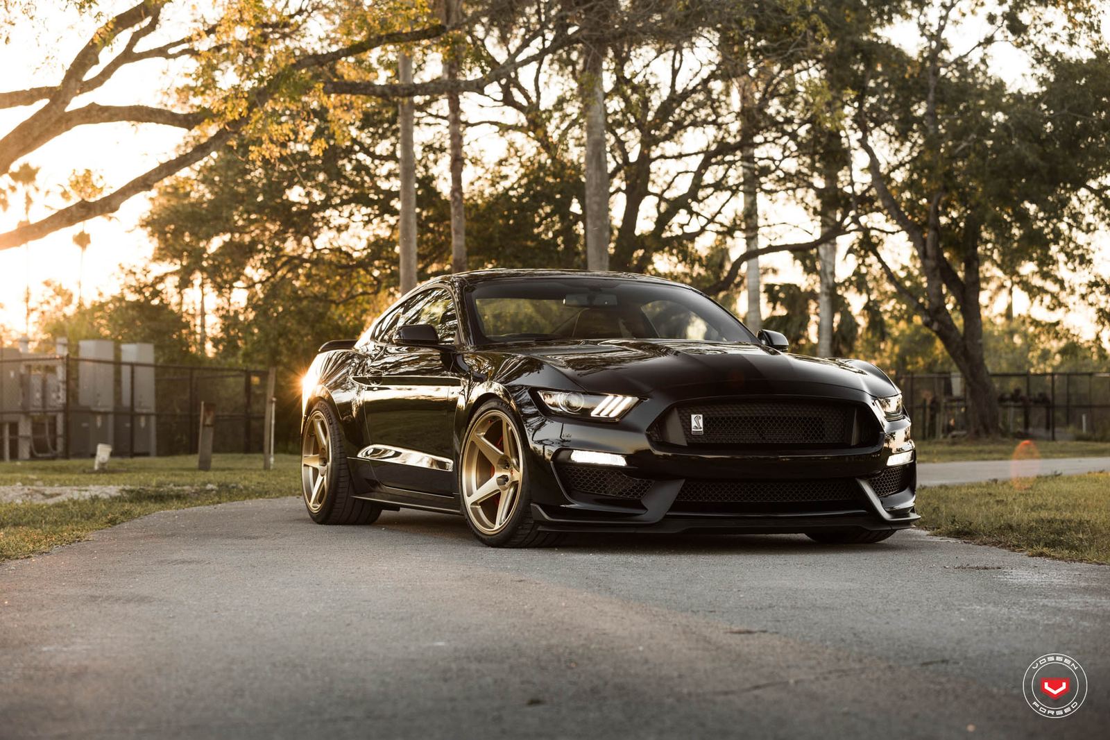 Vossen Forged GNS-1 on Ford Mustang S550.1