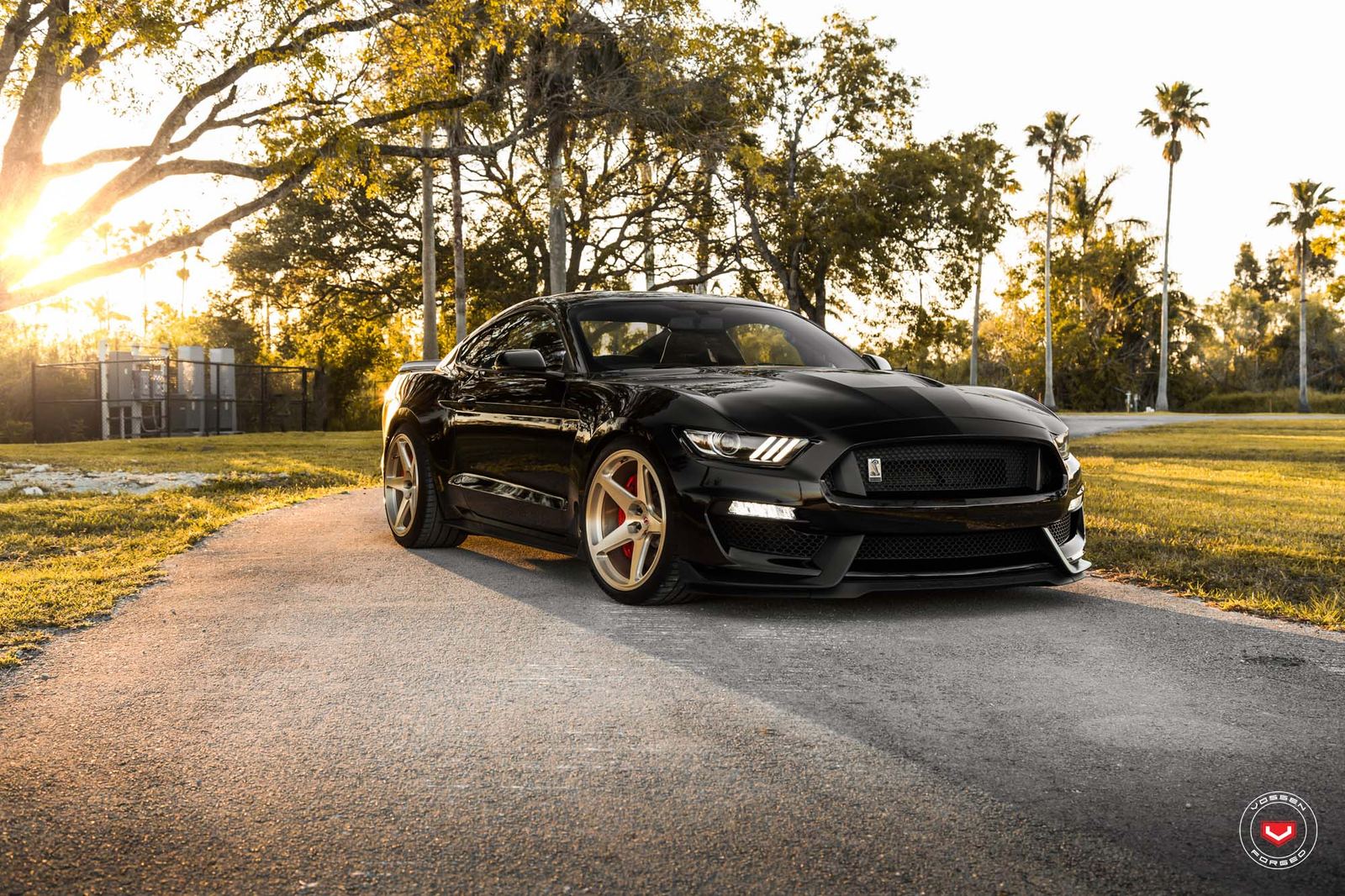 Vossen Forged GNS-1 on Ford Mustang S550.1, photo 2