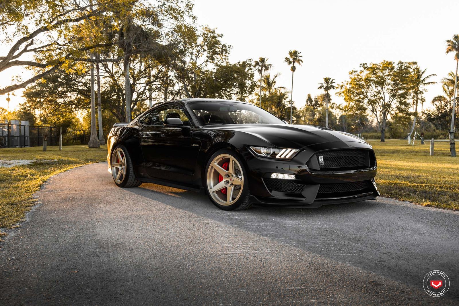 Vossen Forged GNS-1 on Ford Mustang S550.1, photo 3