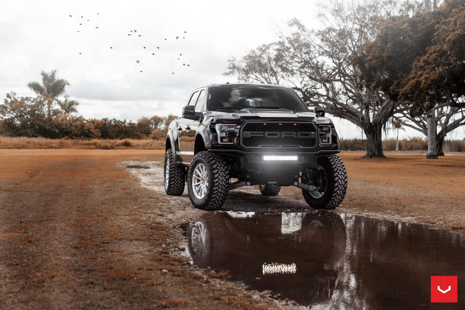Vossen Forged HF6-1 on Ford F-150 Raptor 2nd generation (2017-2020), photo 2