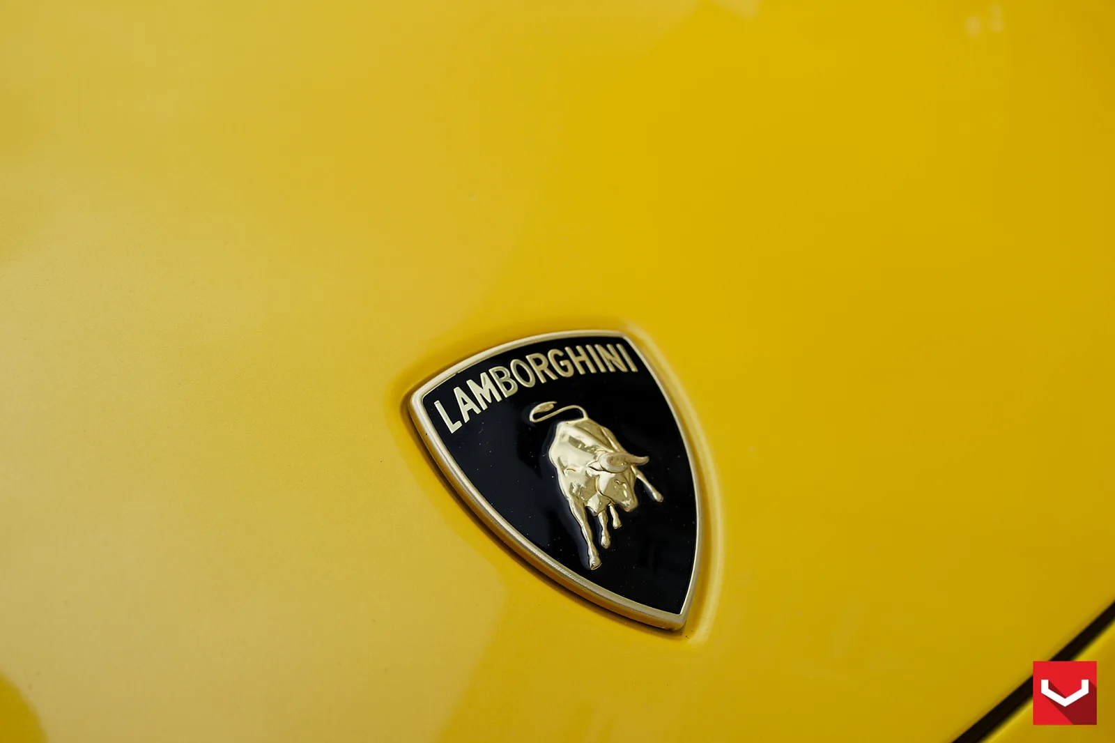 Vossen Forged CV7 on Lamborghini Gallardo (2003), photo 8