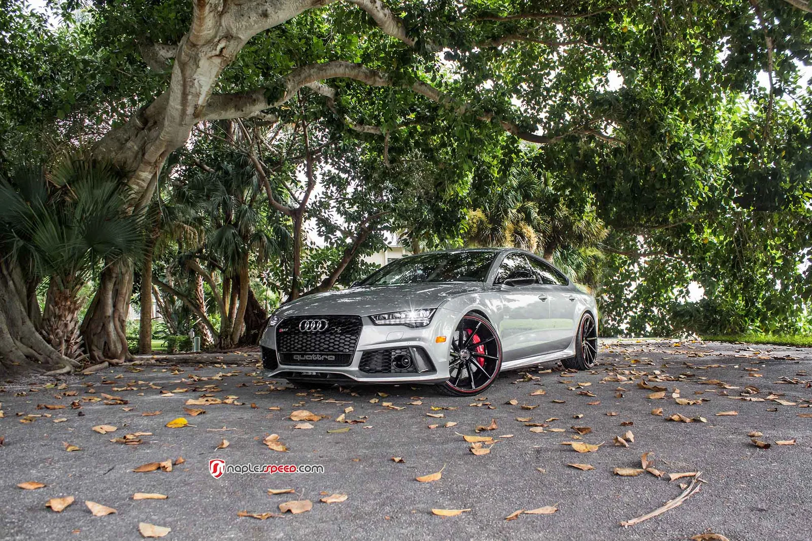 Vossen Forged CVT on Audi RS 7 4G.1, photo 11