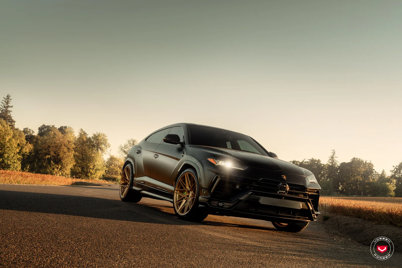 Vossen Forged EVO-5 on Lamborghini Urus (2018), photo 12