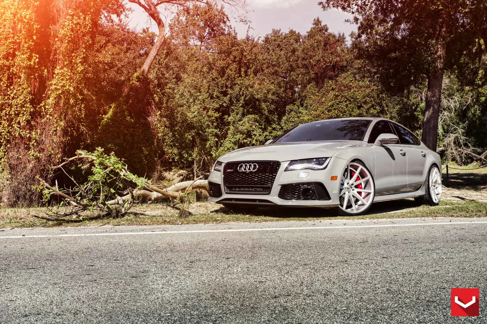 Vossen Forged VFS-1 on Audi RS 7 4G.1, photo 3