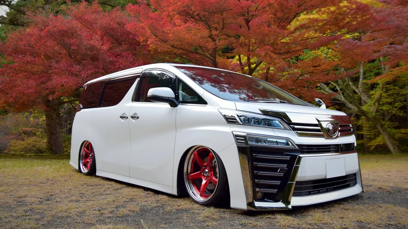 Work Emotion T5R 2P on Toyota Vellfire AH30, photo 3