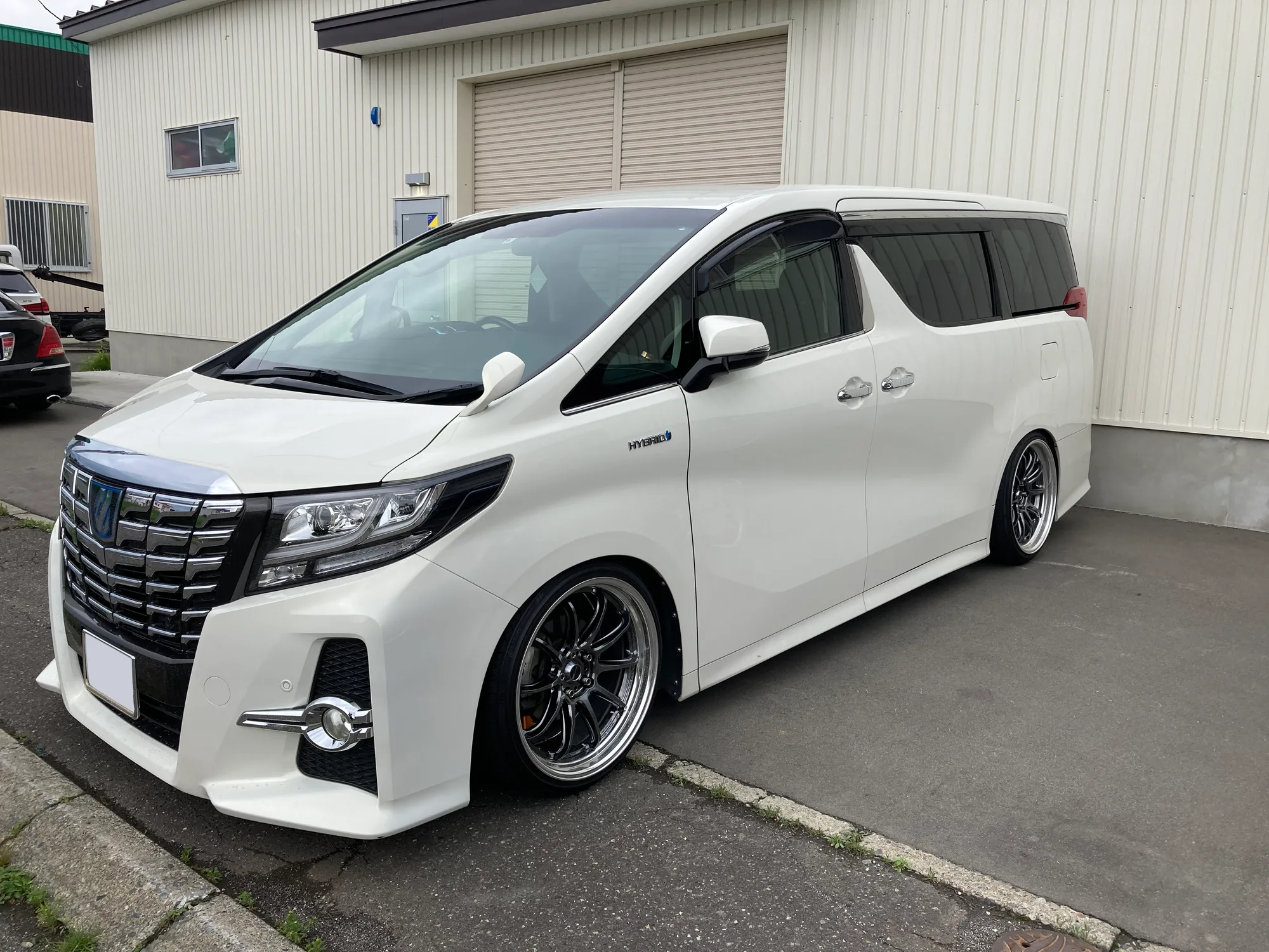Work Emotion ZR10 2P on Toyota Alphard AH30.1
