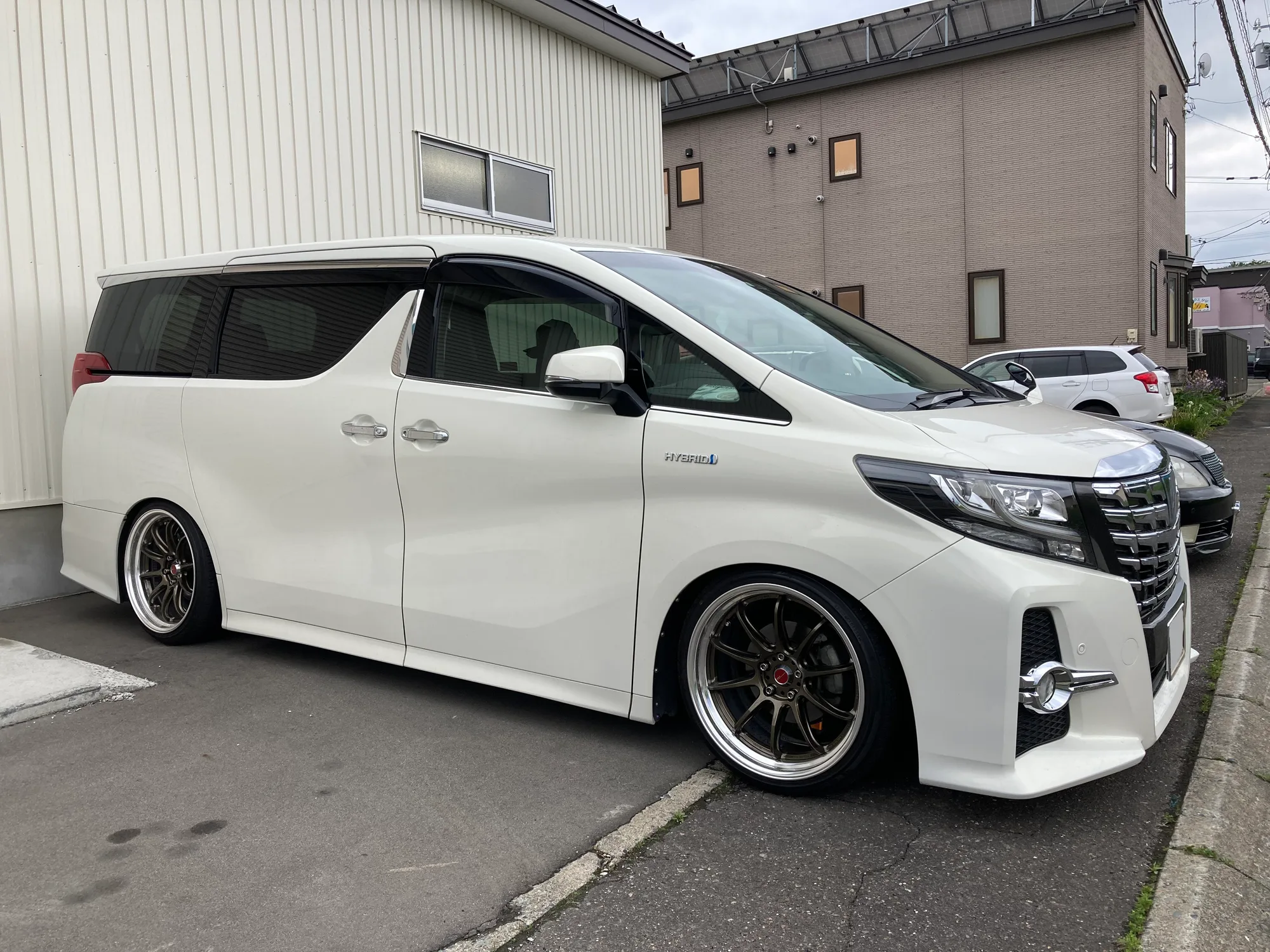 Work Emotion ZR10 2P on Toyota Alphard AH30.1, photo 2