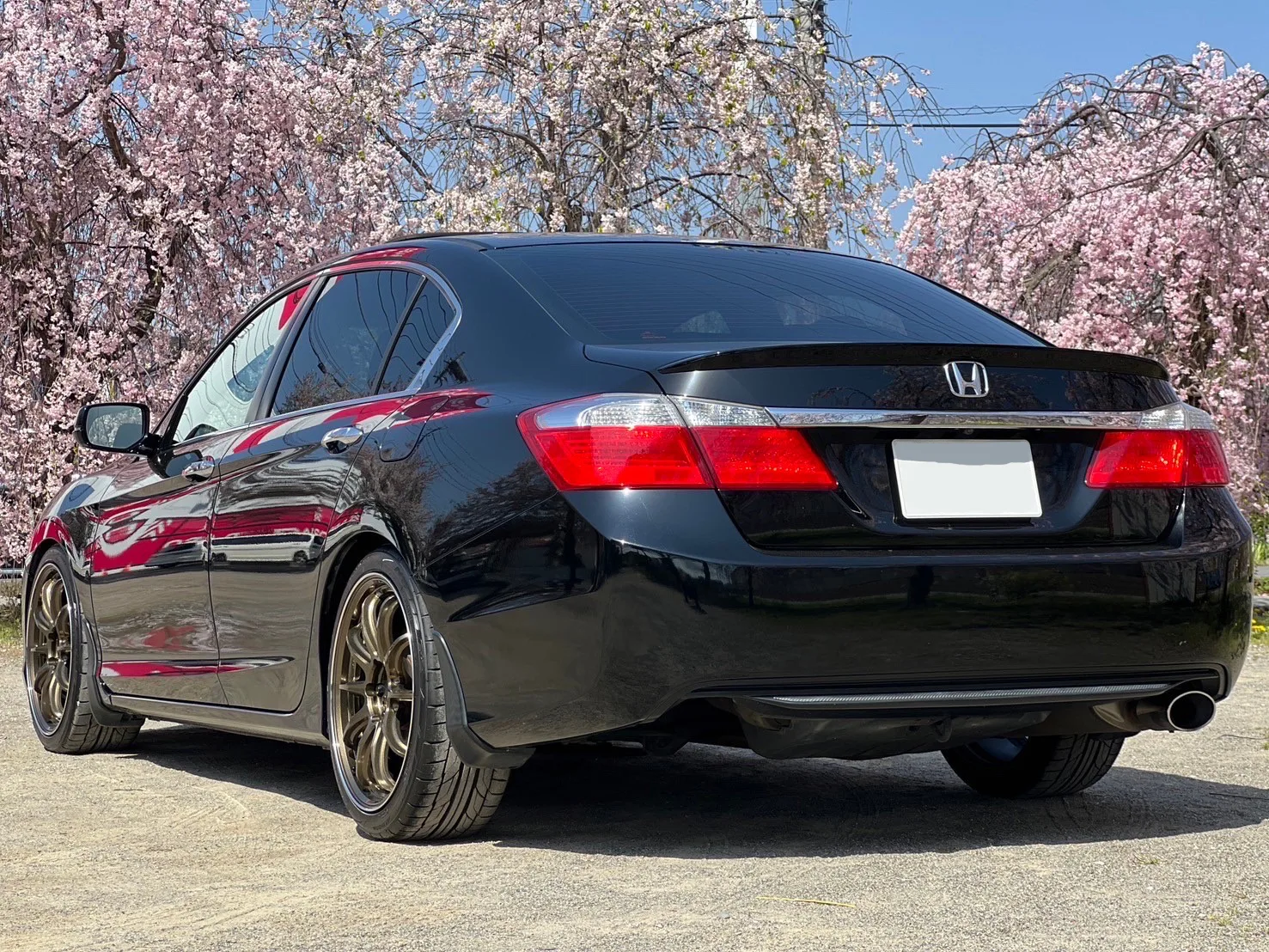 Work Emotion ZR10 on Honda Accord 9th gen (CR/CT), photo 3