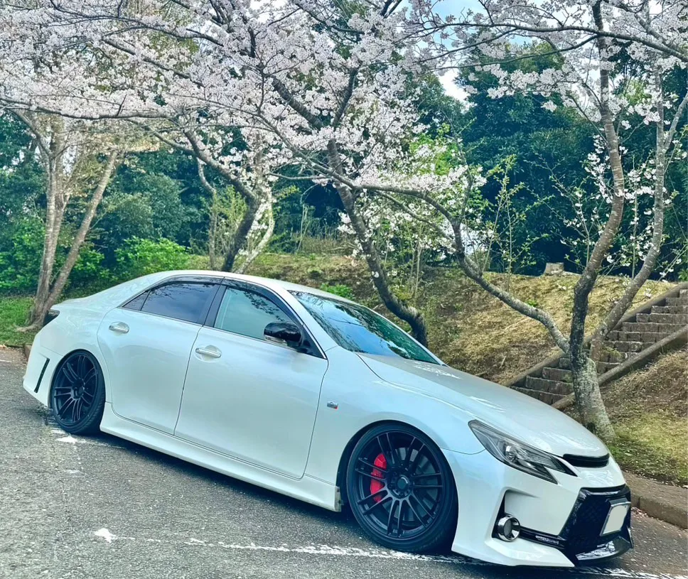 Work Emotion ZR7 on Toyota Mark X X130