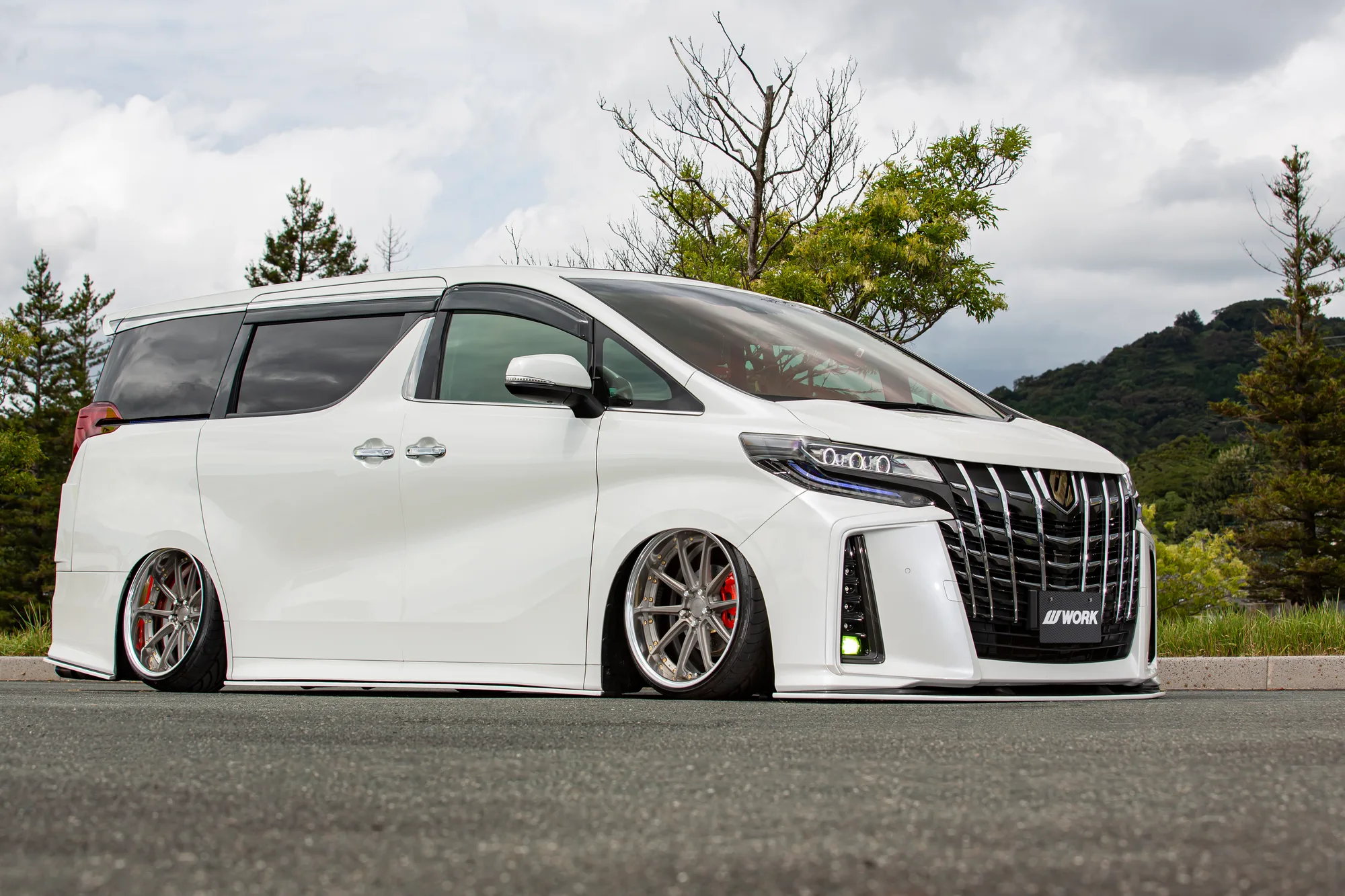 Work Gnosis AE201 on Toyota Alphard AH30.1, photo 4