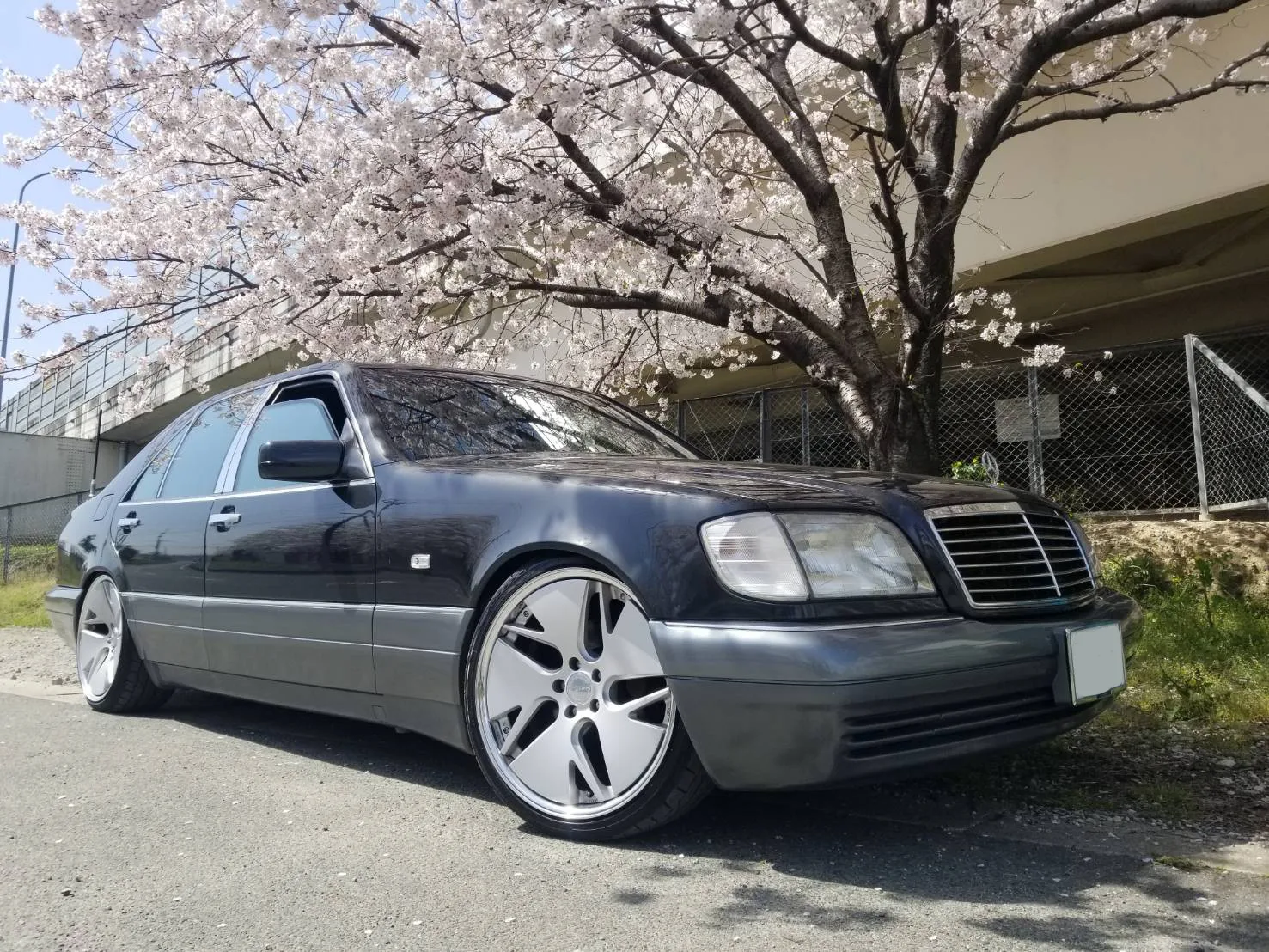 Work Gnosis Cvd on Mercedes-Benz S-Class W140.1