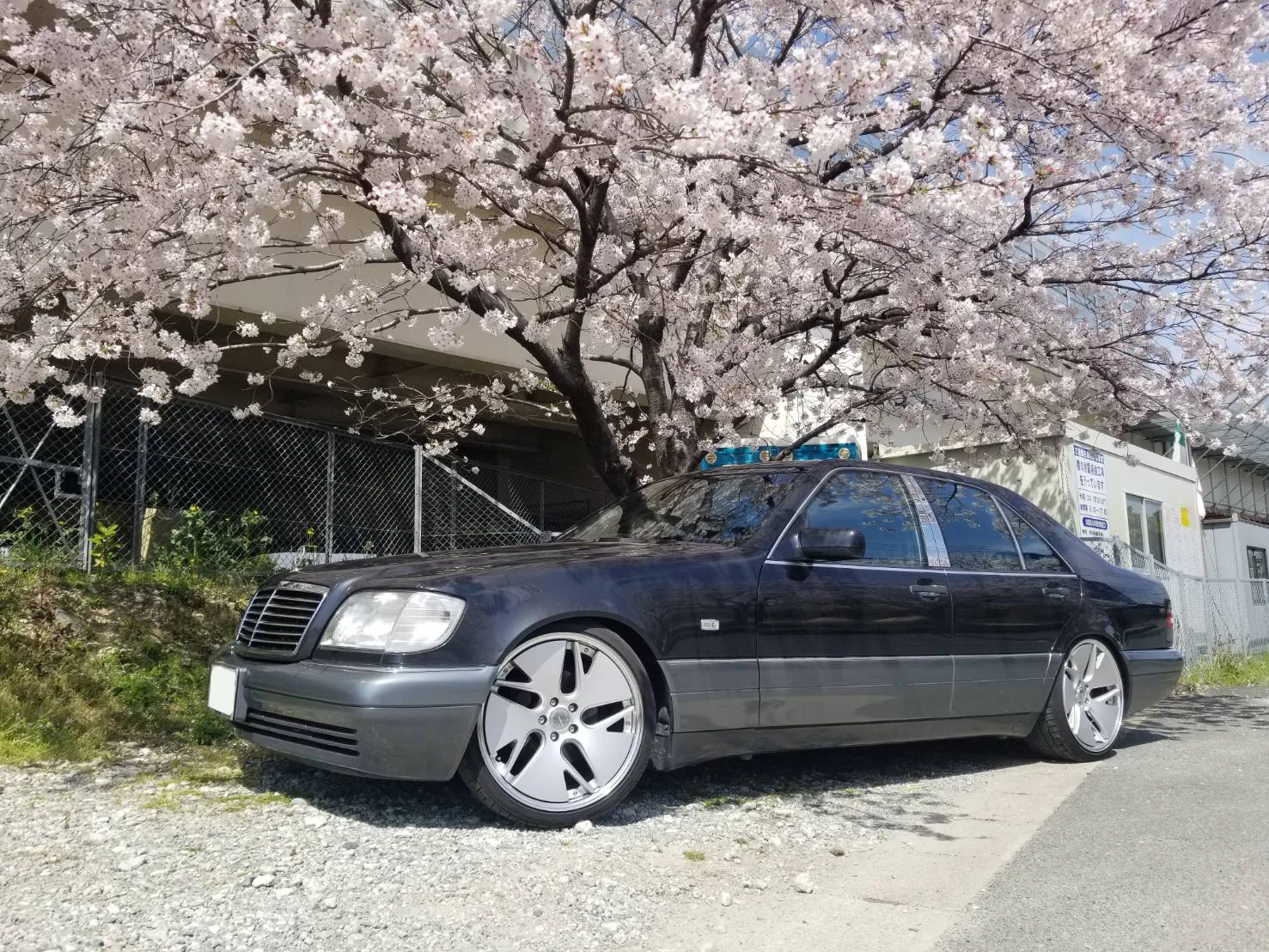 Work Gnosis Cvd on Mercedes-Benz S-Class W140.1, photo 2
