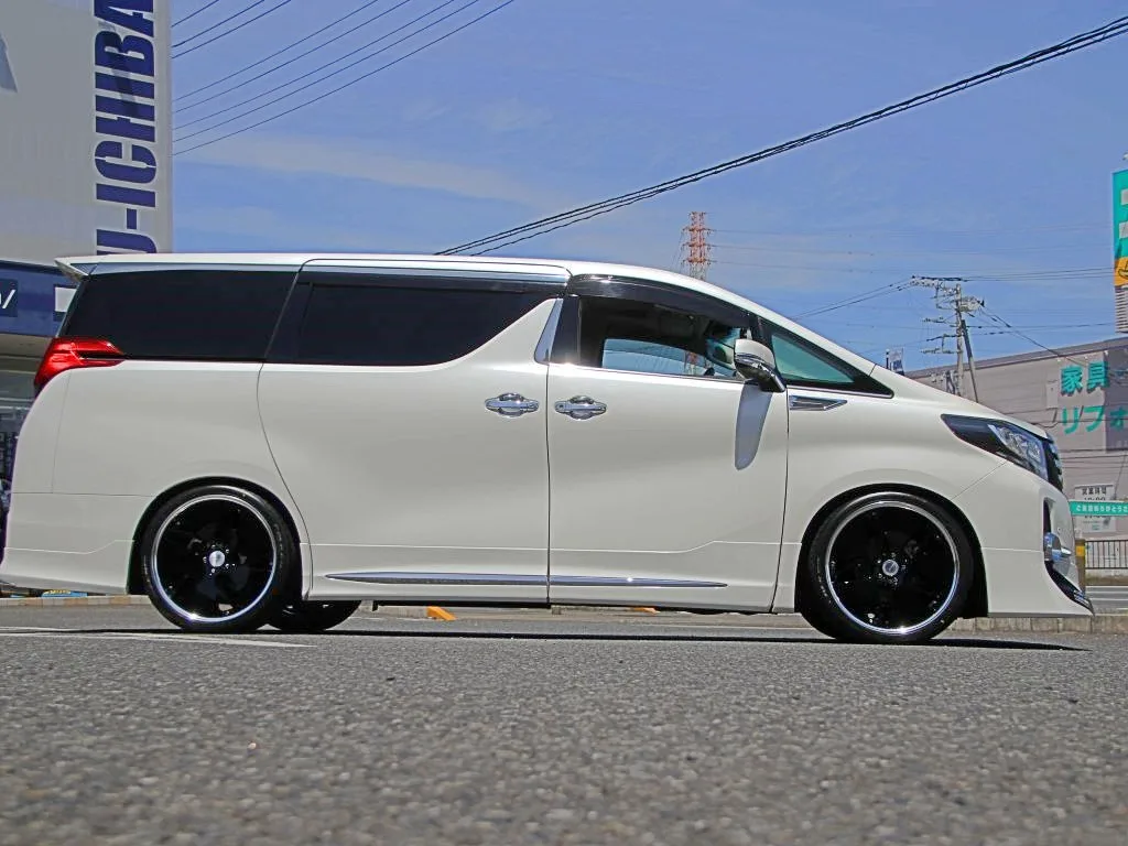 Work Gnosis Cvd on Toyota Alphard AH30.1, photo 3