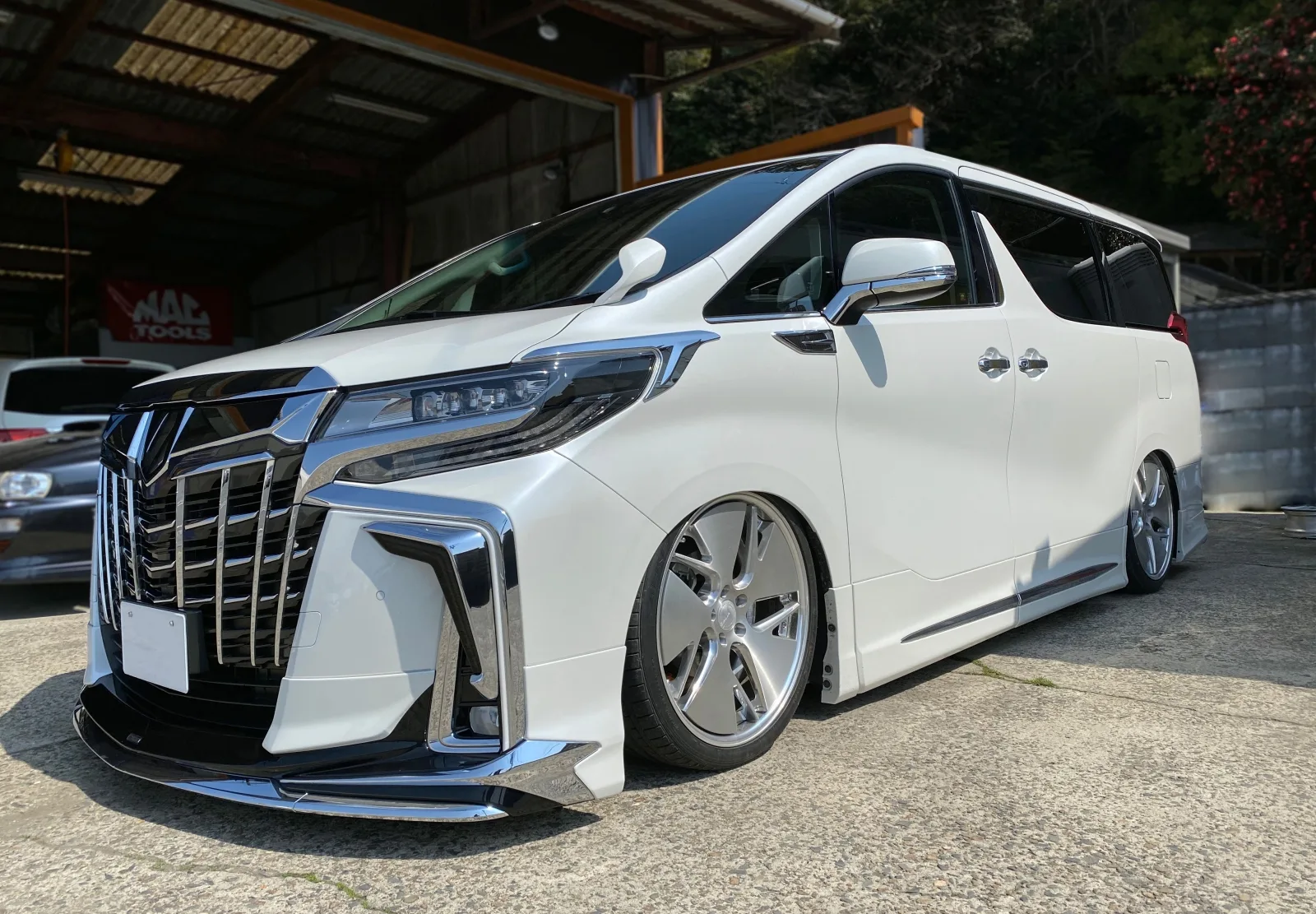 Work Gnosis Cvd on Toyota Alphard AH30.1, photo 4