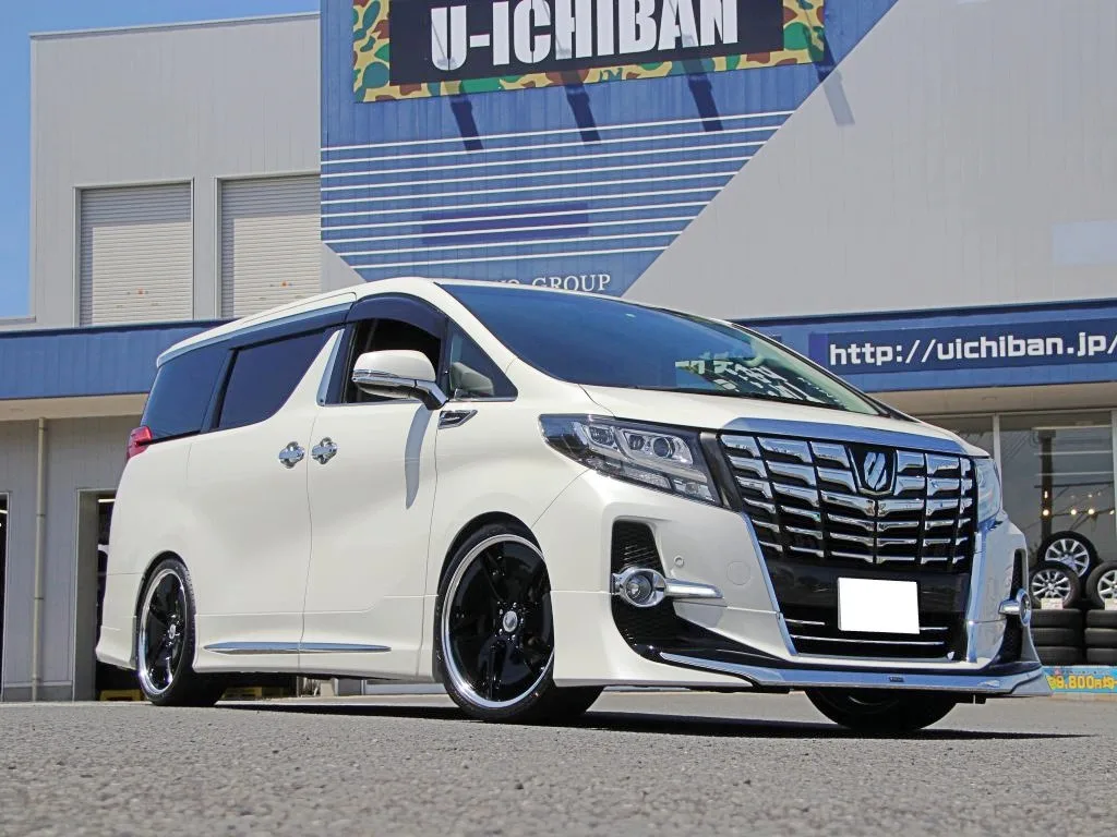 Work Gnosis Cvd on Toyota Alphard AH30.1, photo 2