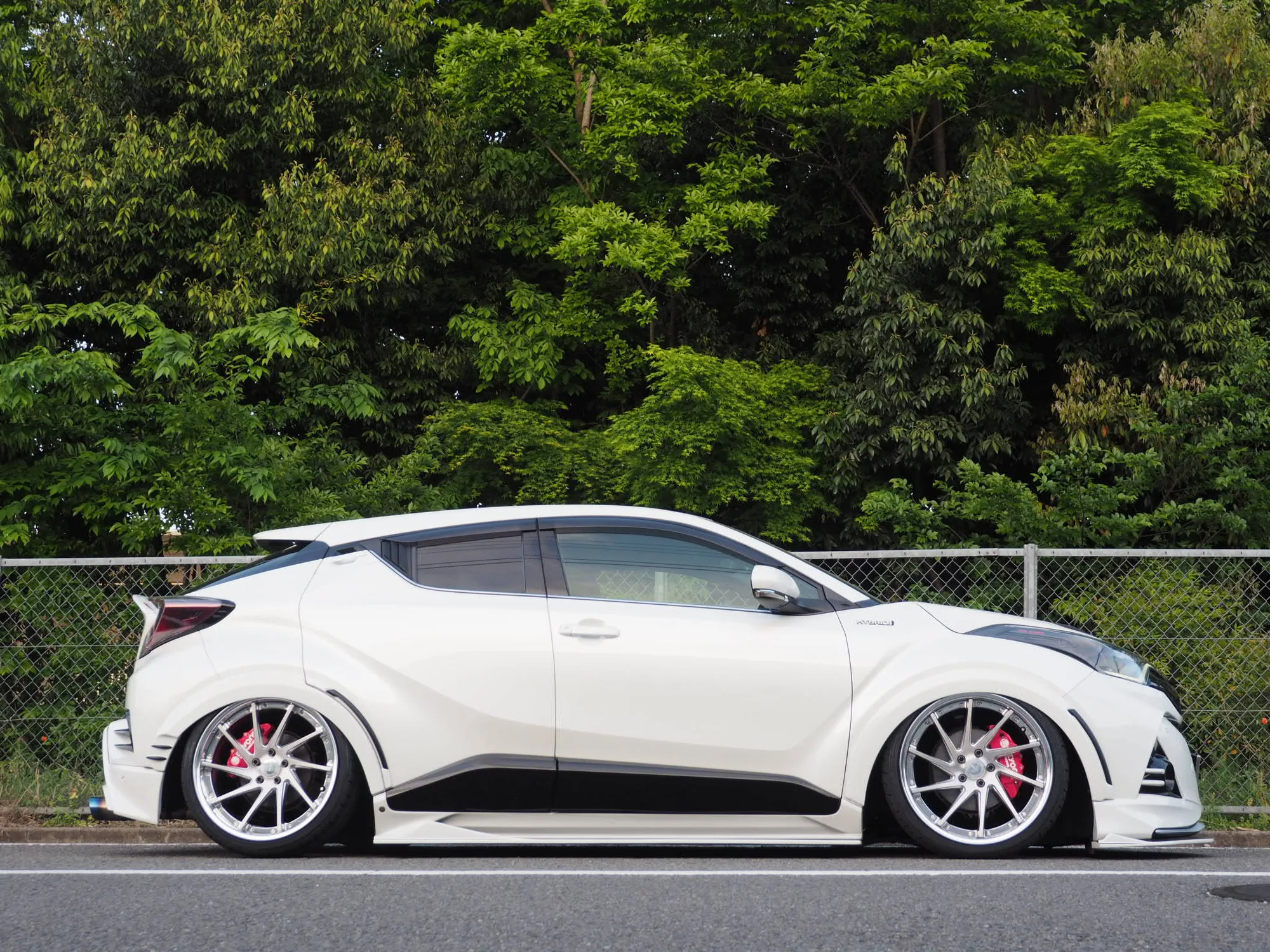 Work Gnosis Cvs on Toyota C-HR AX10.1, photo 2