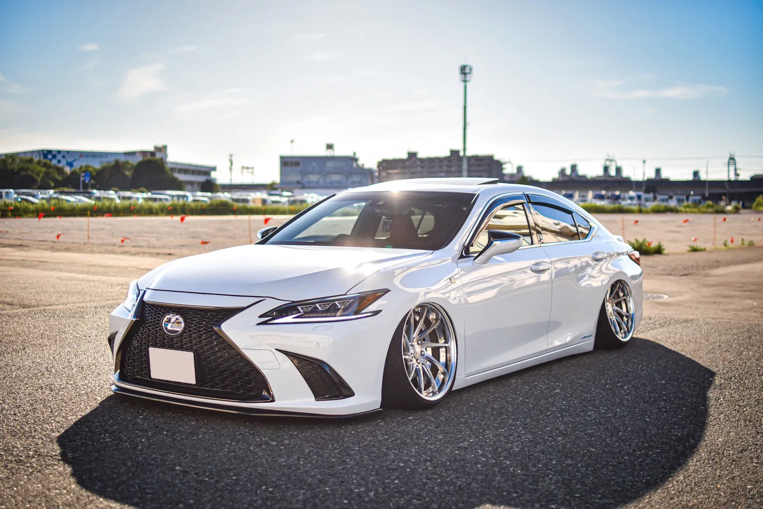 Work Gnosis Cvs on Lexus ES XZ10