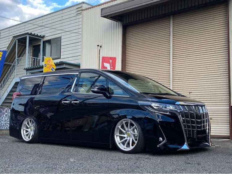 Work Gnosis Cvs on Toyota Vellfire AH30