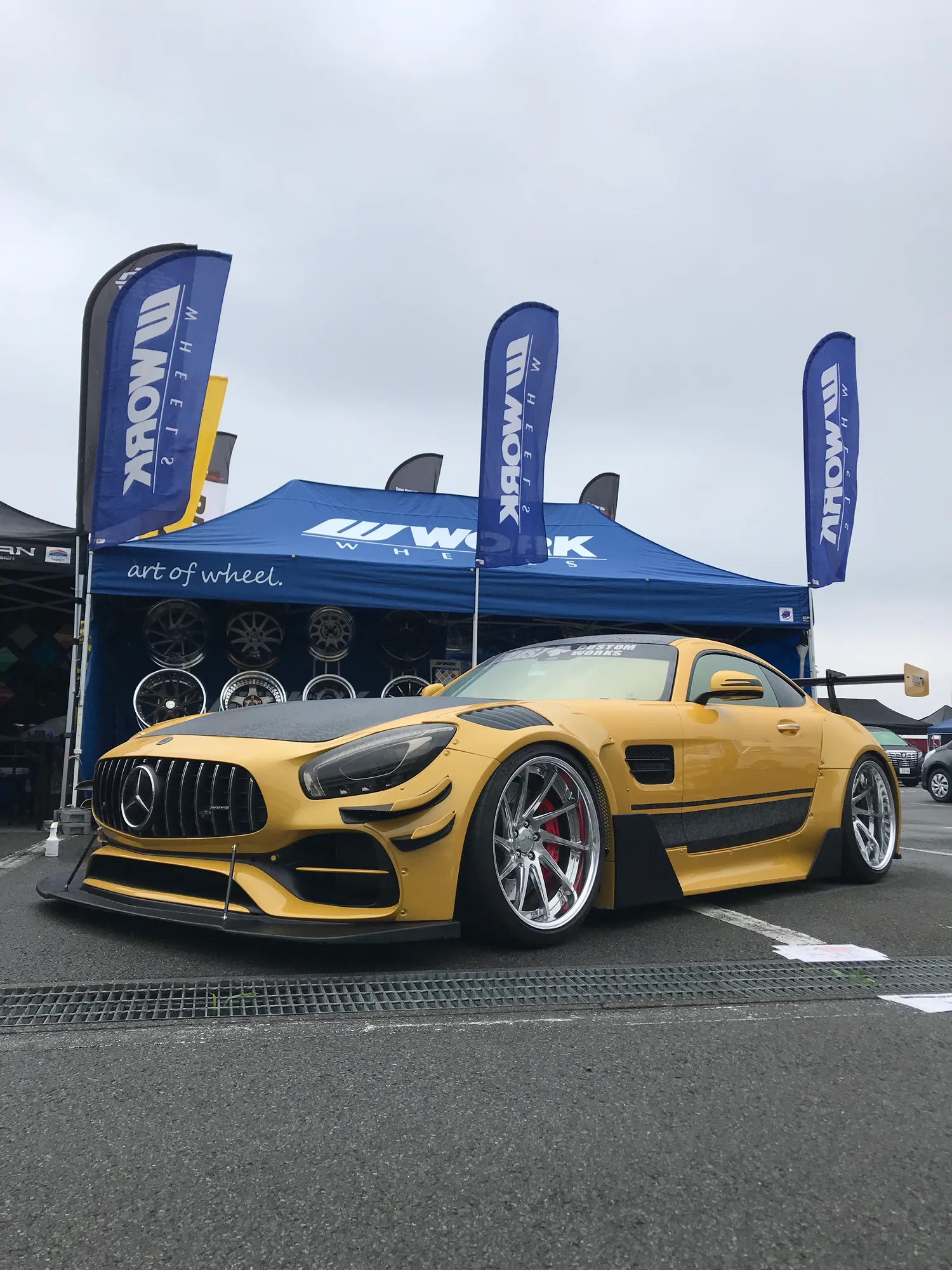 Work Gnosis Cvs on Mercedes-Benz AMG GT C190.1, photo 3