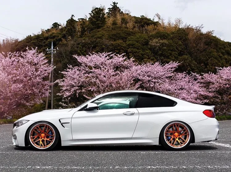 Work Gnosis Cvx on BMW M4 F82.1, photo 2