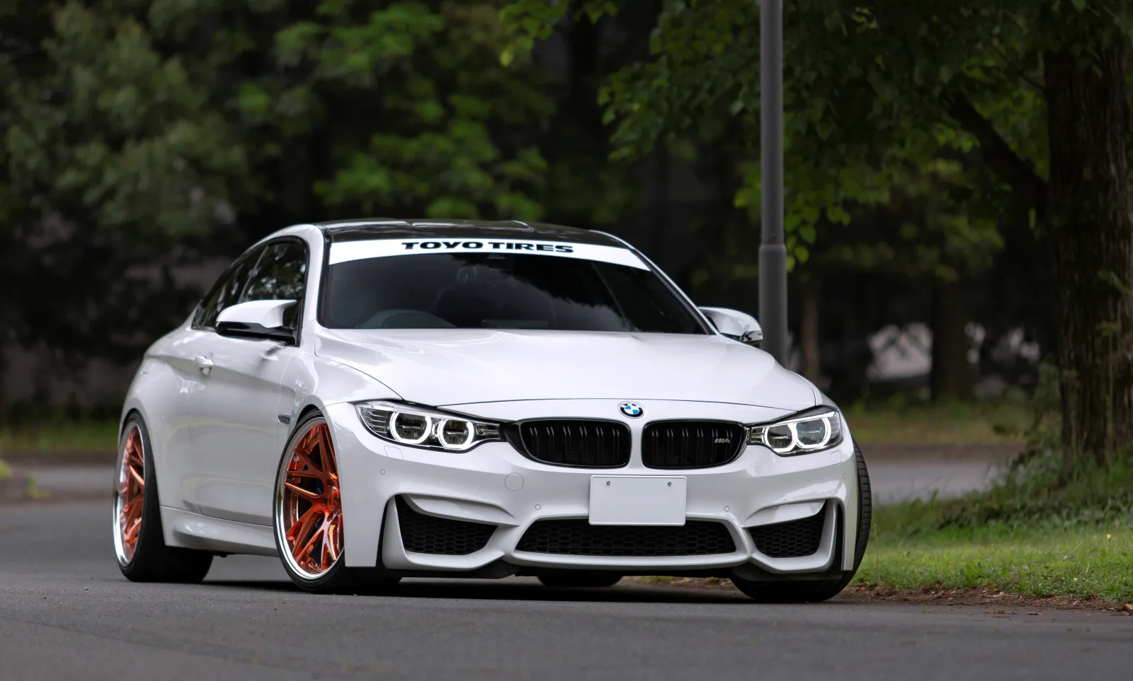 Work Gnosis Cvx on BMW M4 F82.1