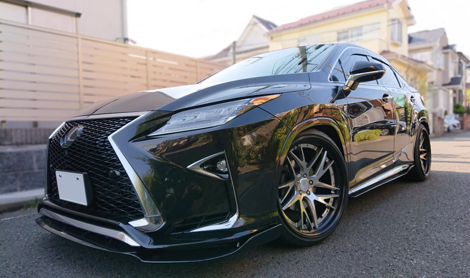 Work Gnosis Cvx on Lexus RX AL20