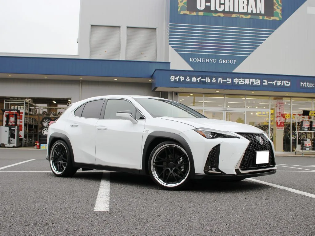 Work Gnosis Cvx on Lexus UX ZA10