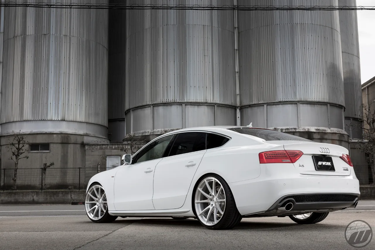 Work Gnosis FMB01 on Audi A5 8T.1, photo 3