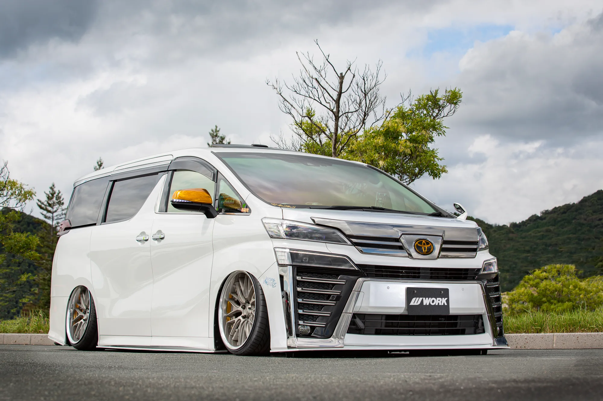 Work Gnosis GR204 on Toyota Vellfire AH30, photo 6