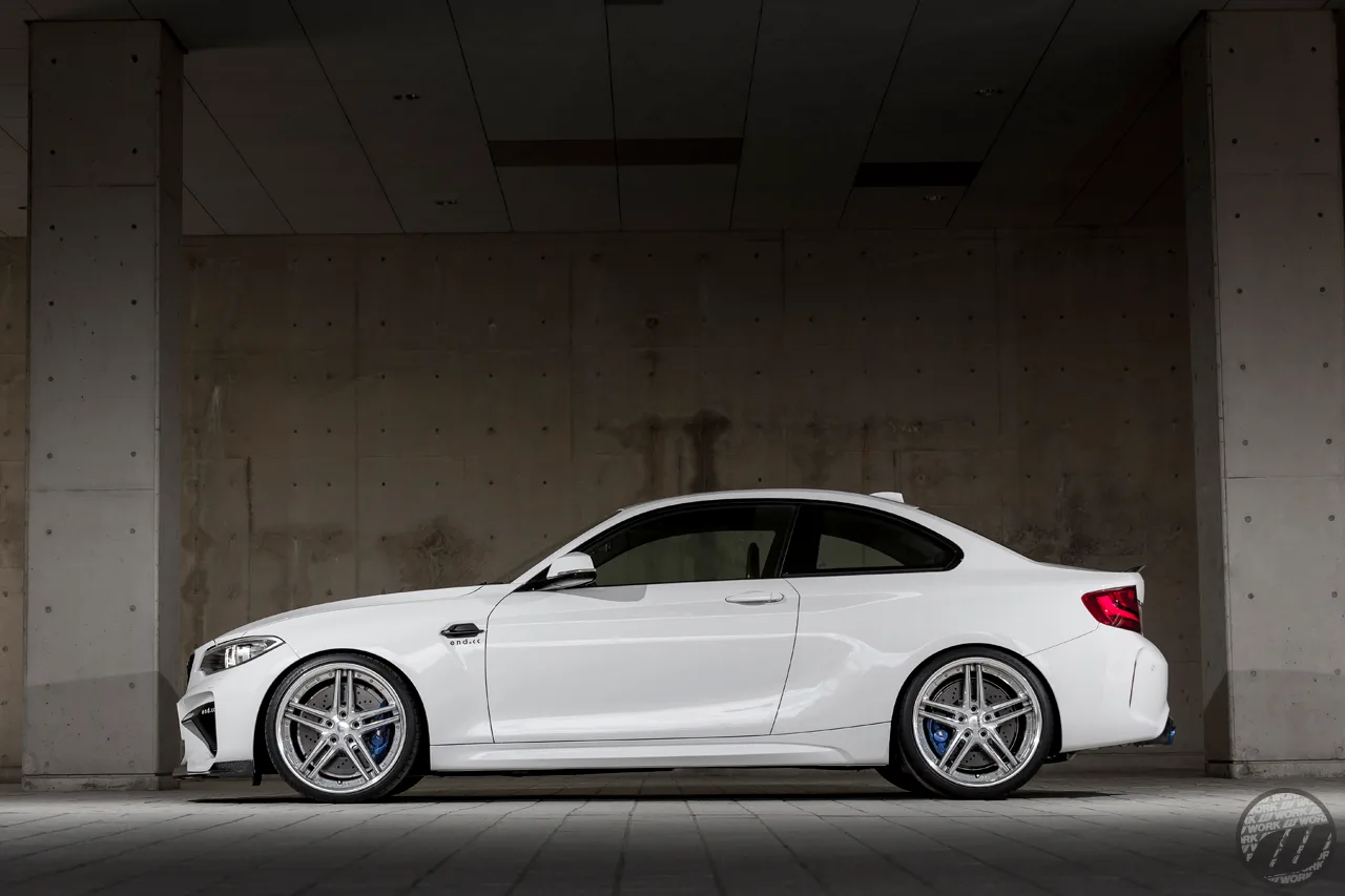 Work Gnosis GR205 on BMW M2 F87, photo 3