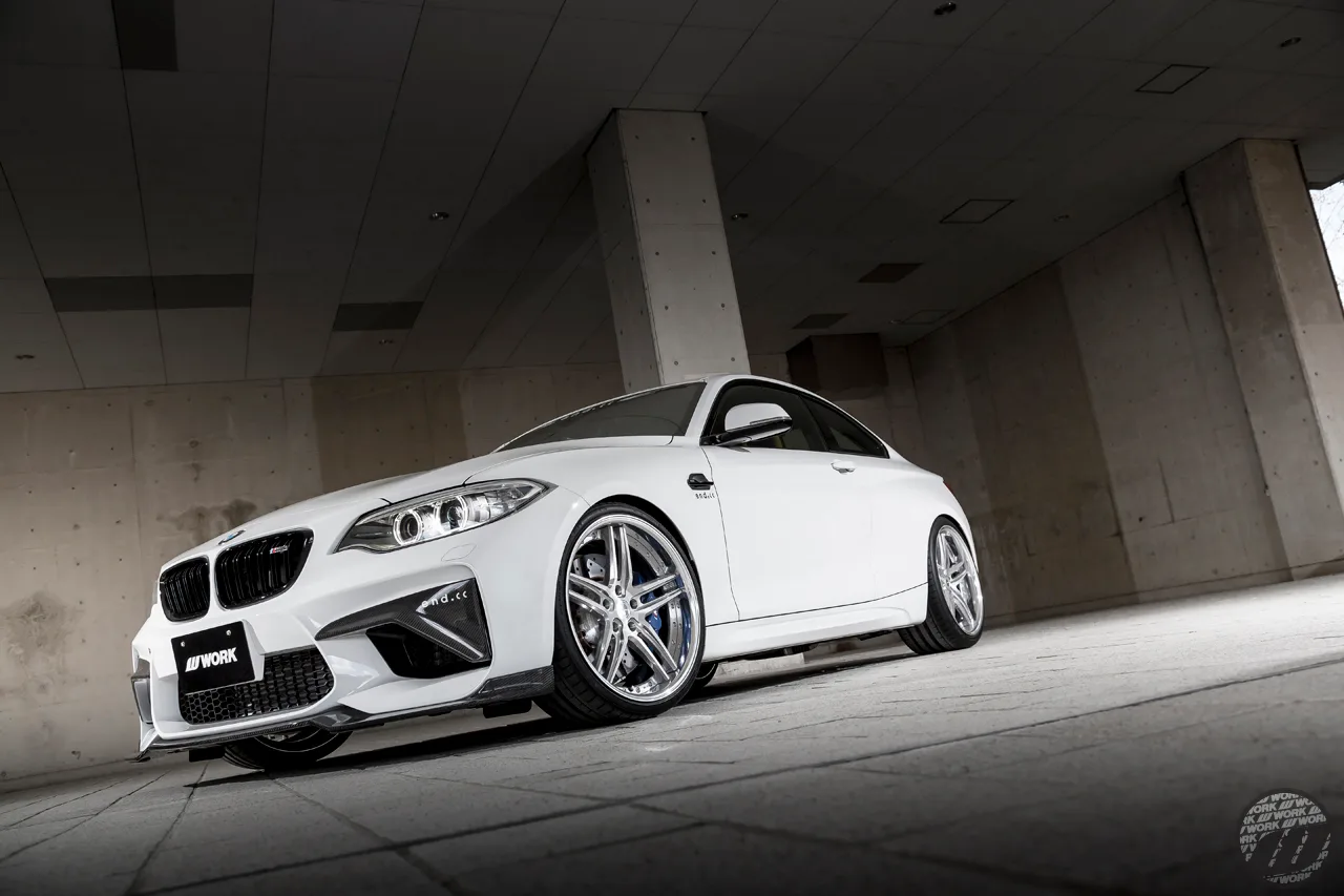 Work Gnosis GR205 on BMW M2 F87