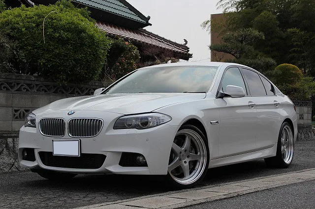 Work Gnosis HS203 on BMW 5 Series F10.1