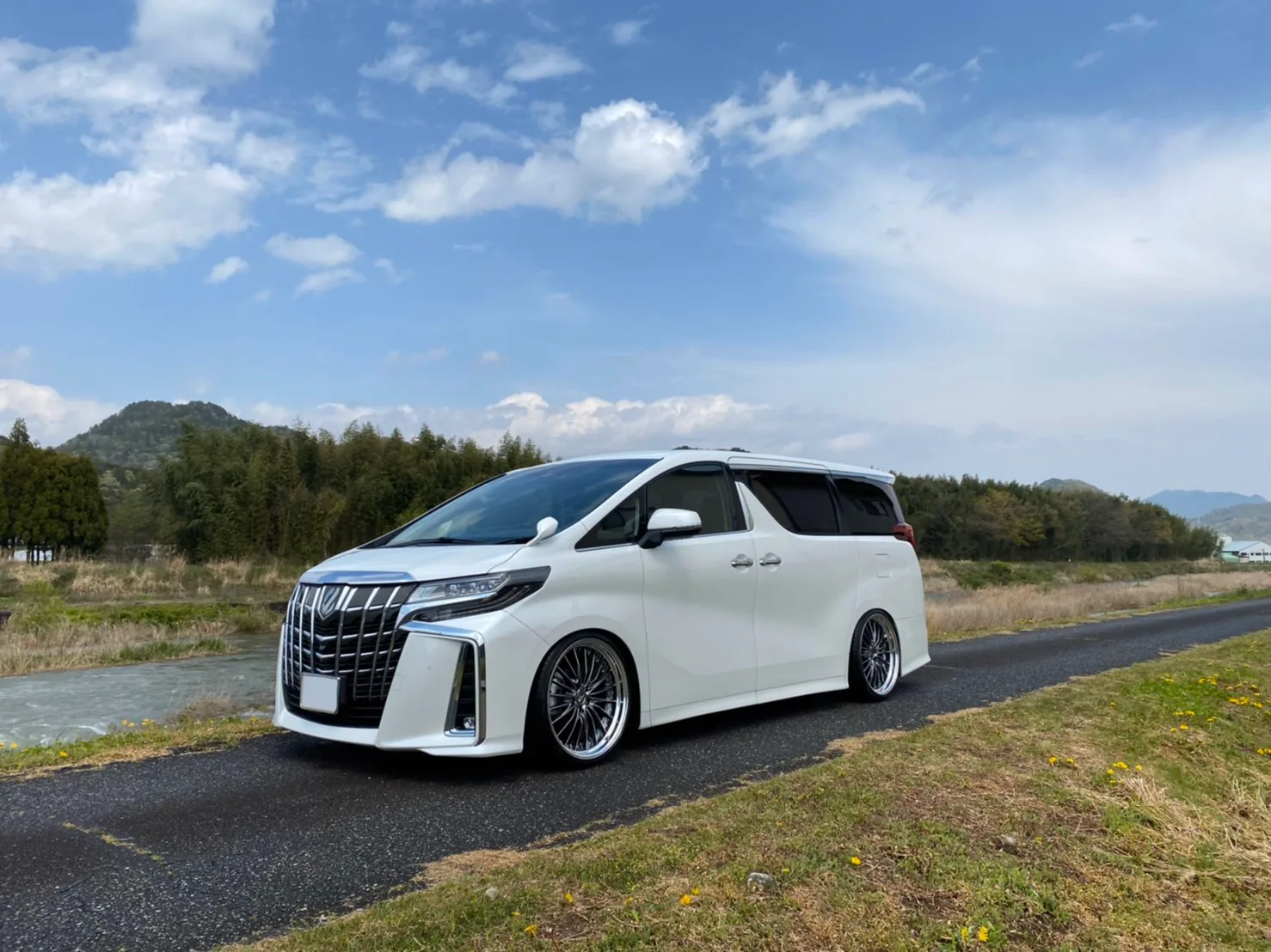 Work Schwert Regnitz on Toyota Vellfire AH30, photo 2