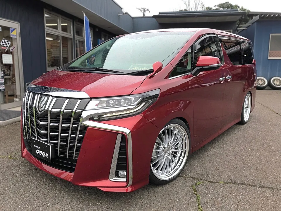Work Schwert Regnitz on Toyota Vellfire AH30, photo 4