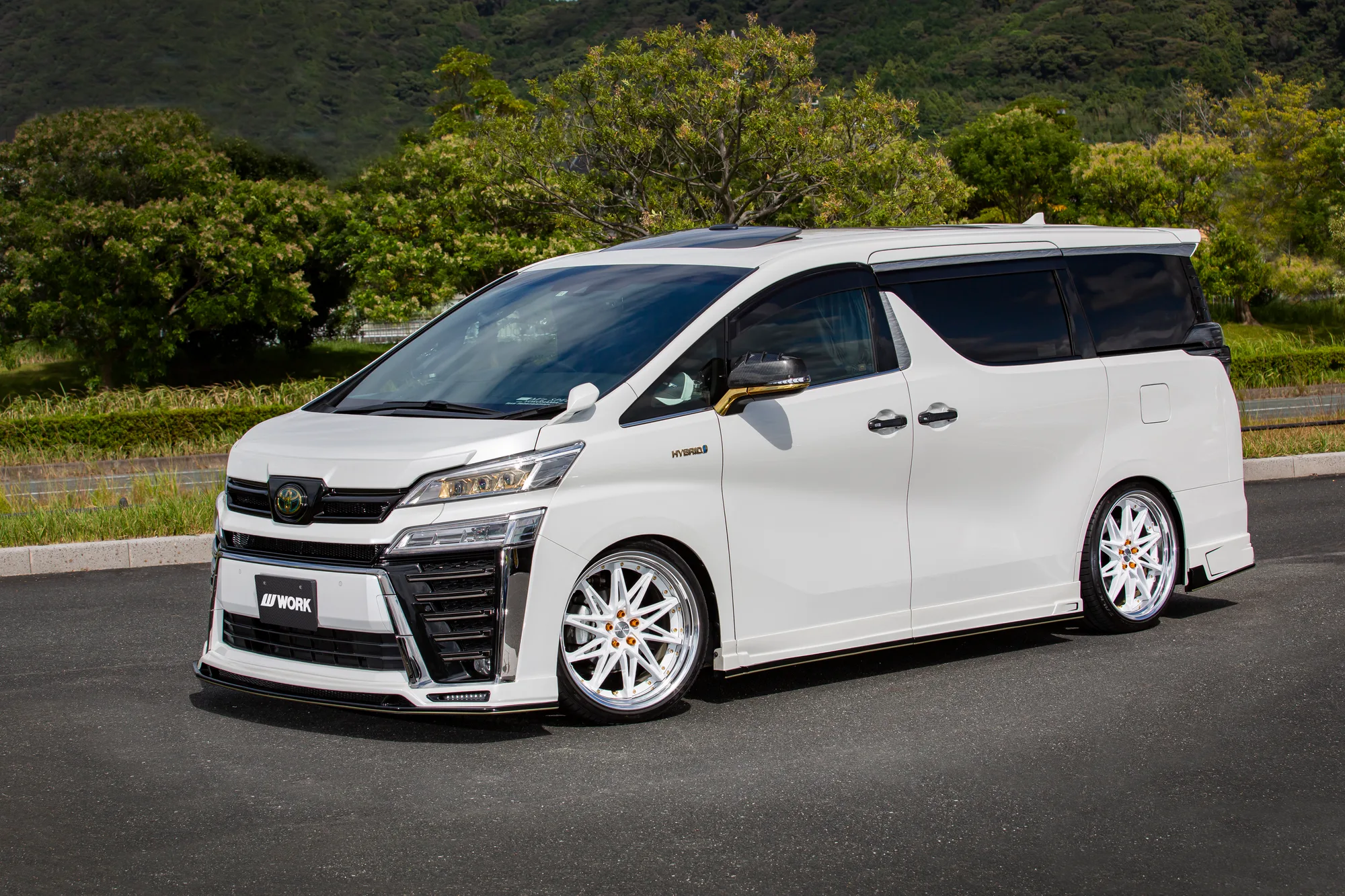 Work Schwert SG1 on Toyota Vellfire AH30, photo 5