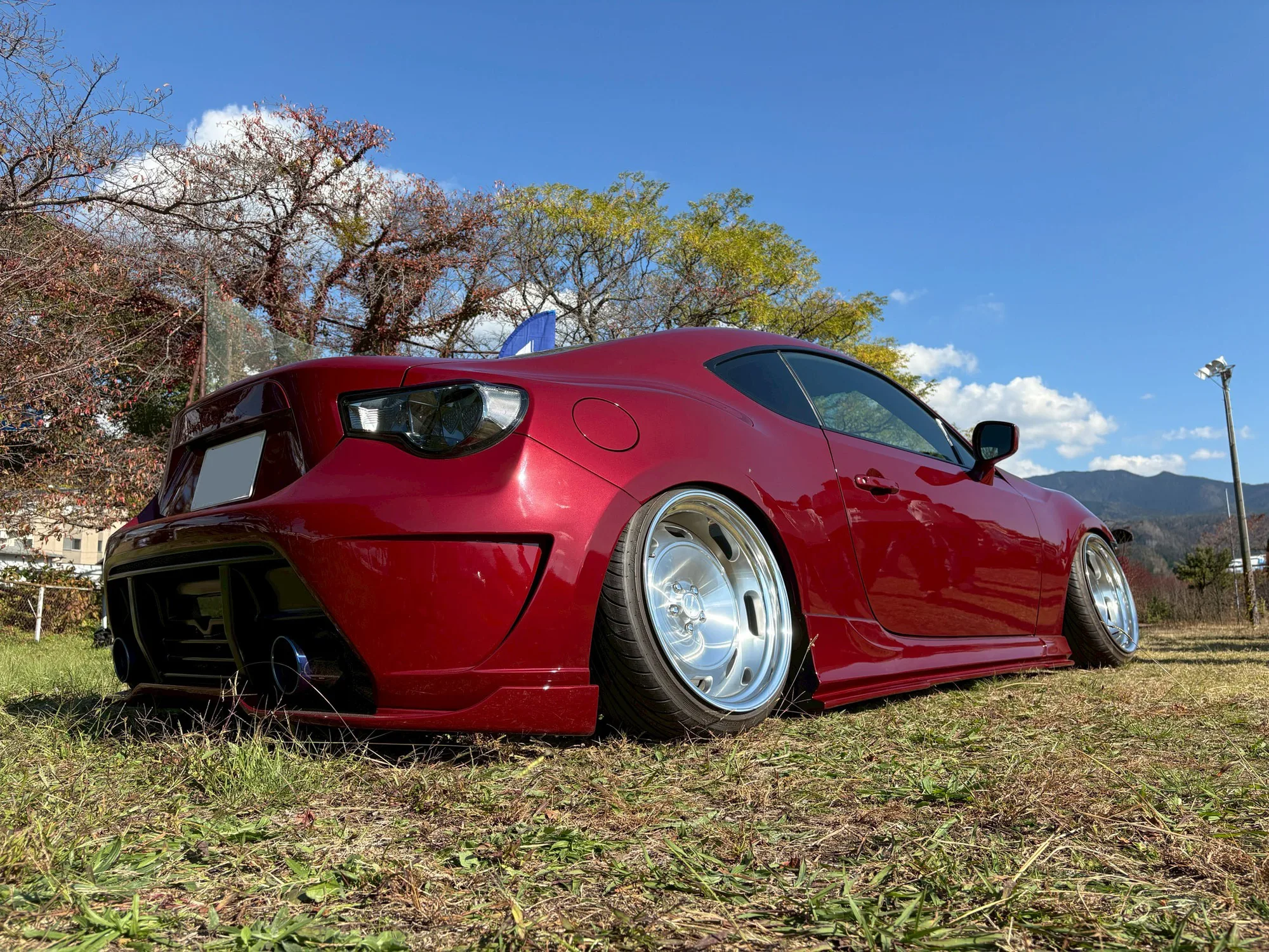 Work Seeker DT