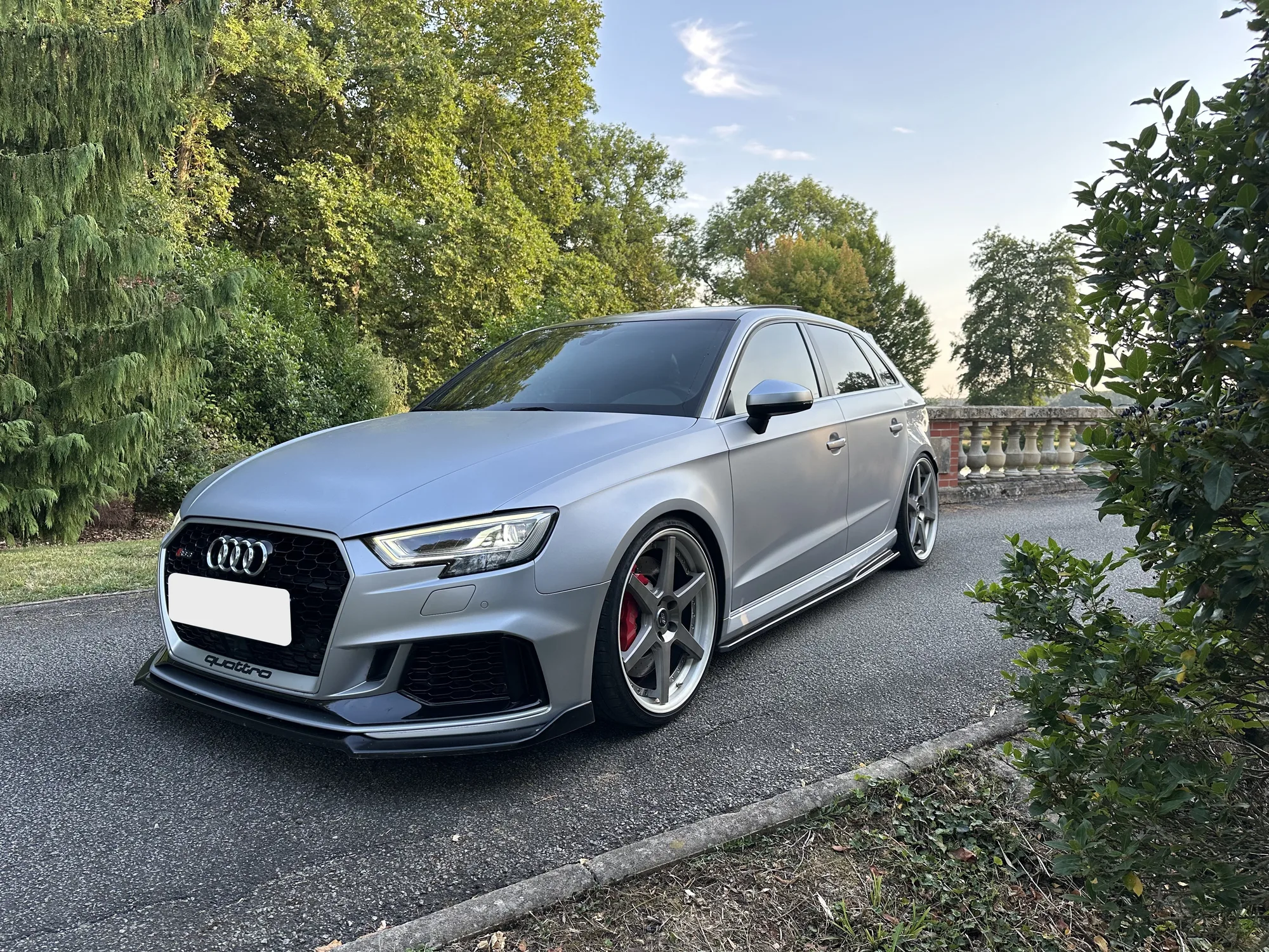 Work Zeast ST1 on Audi RS 3 8V.1