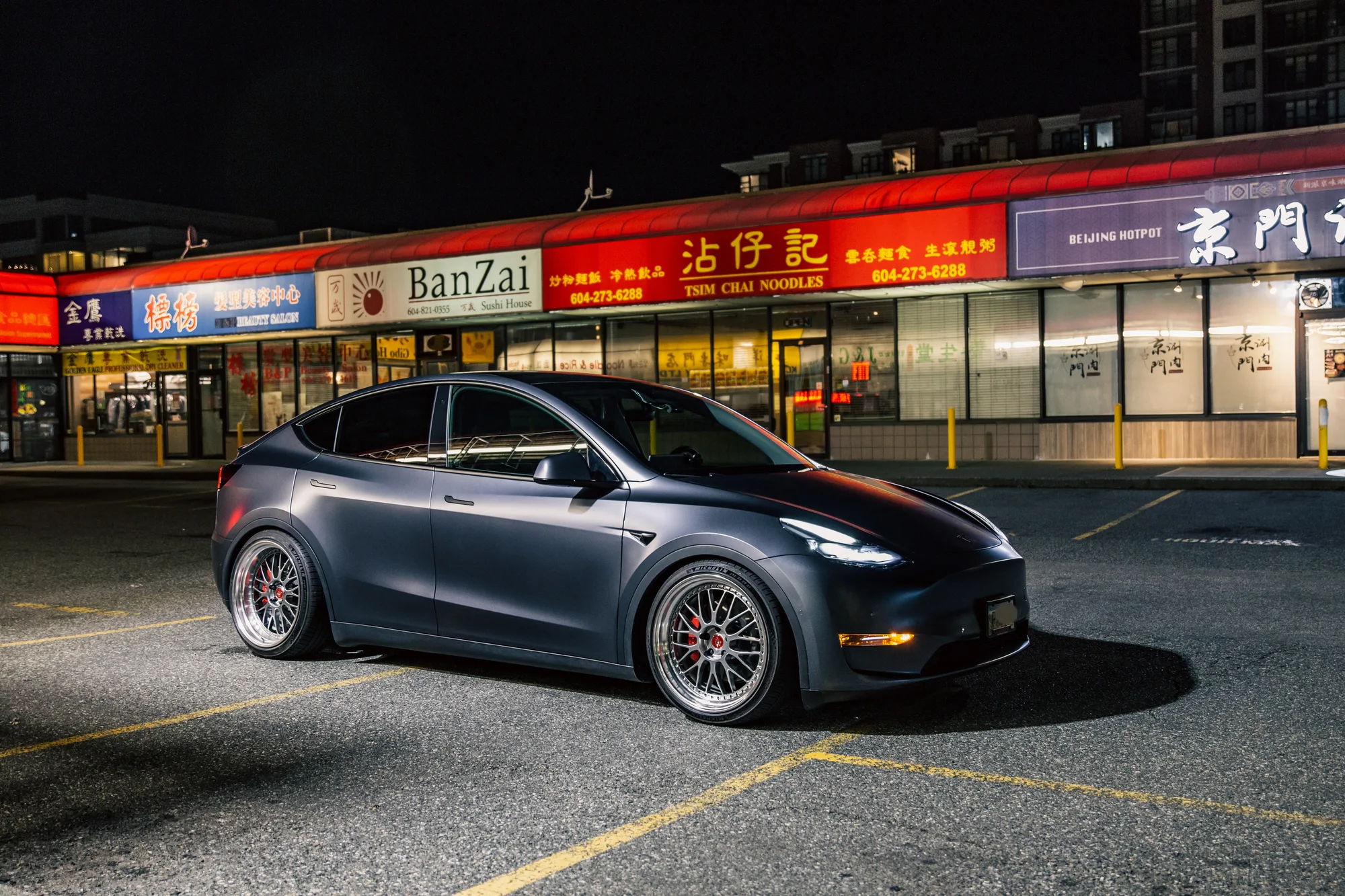 Work Zistance W10M on Tesla Model Y Original (2020-), photo 2