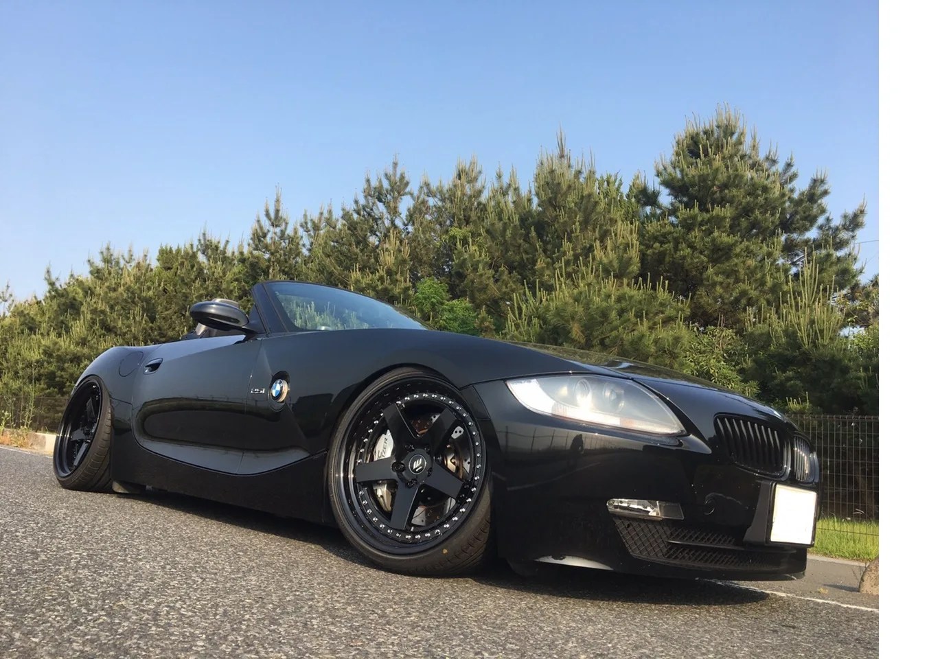 Work Zistance W5S on BMW Z4 E85.1