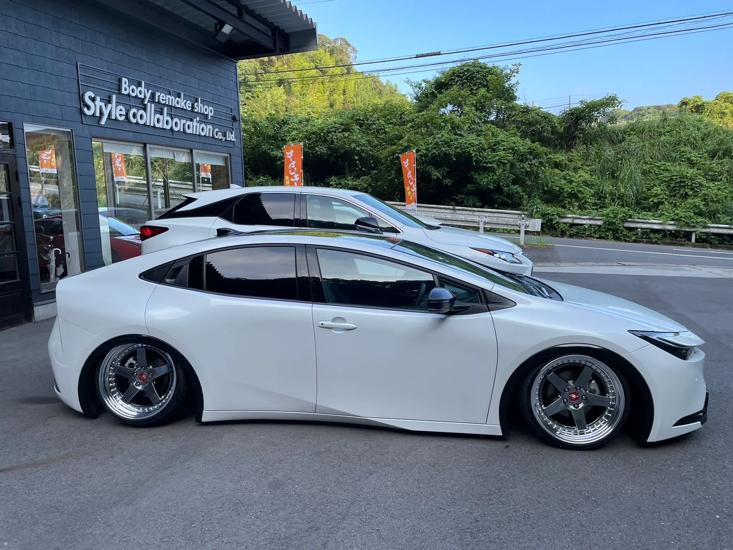 Work Zistance W5S on Toyota Prius XW50, photo 6