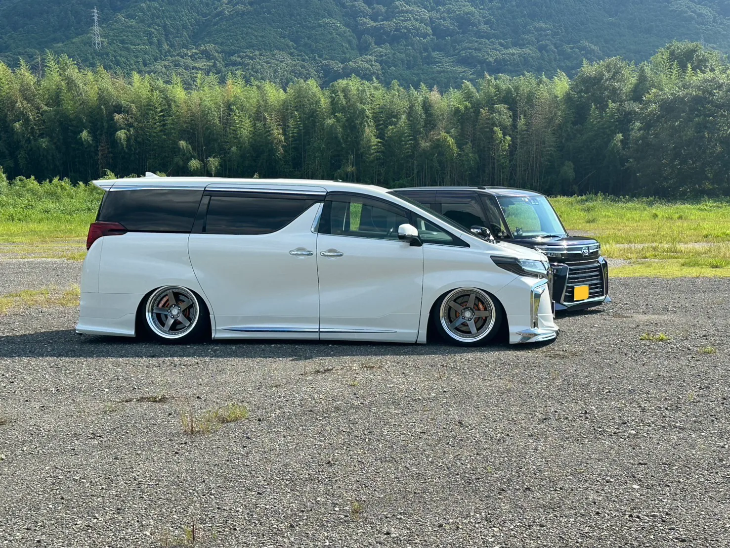 Work Zistance W5S on Toyota Vellfire AH20, photo 6