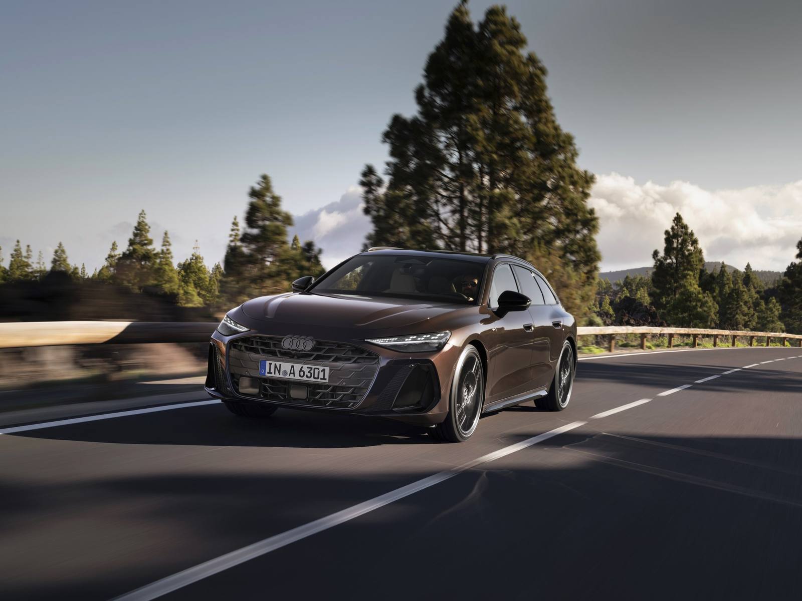 3.0 TFSI quattro (270 kW) Avant