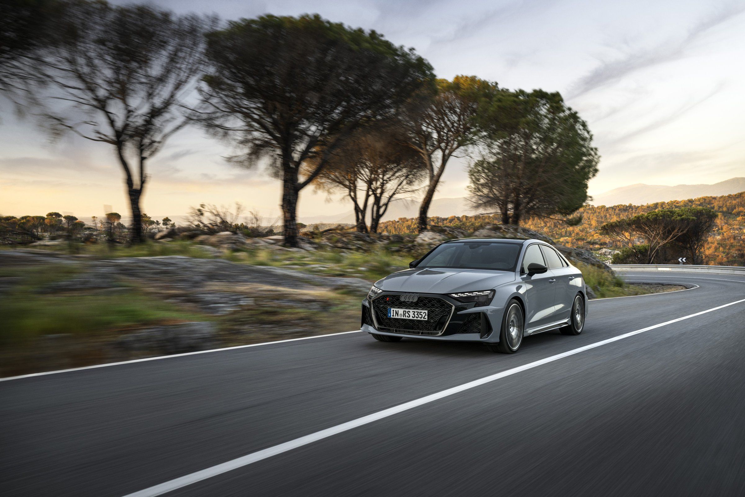 RS 3