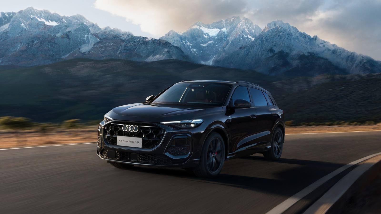 Q5L 40 TFSI quattro Smart Hybrid 204 PS