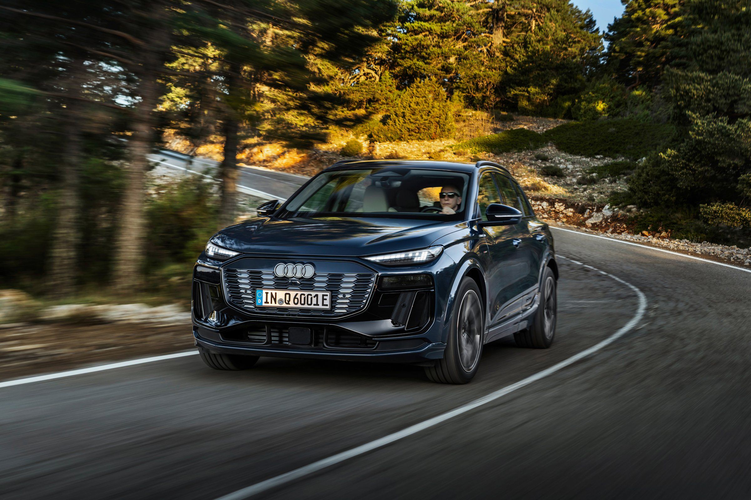 Q6 e-tron
