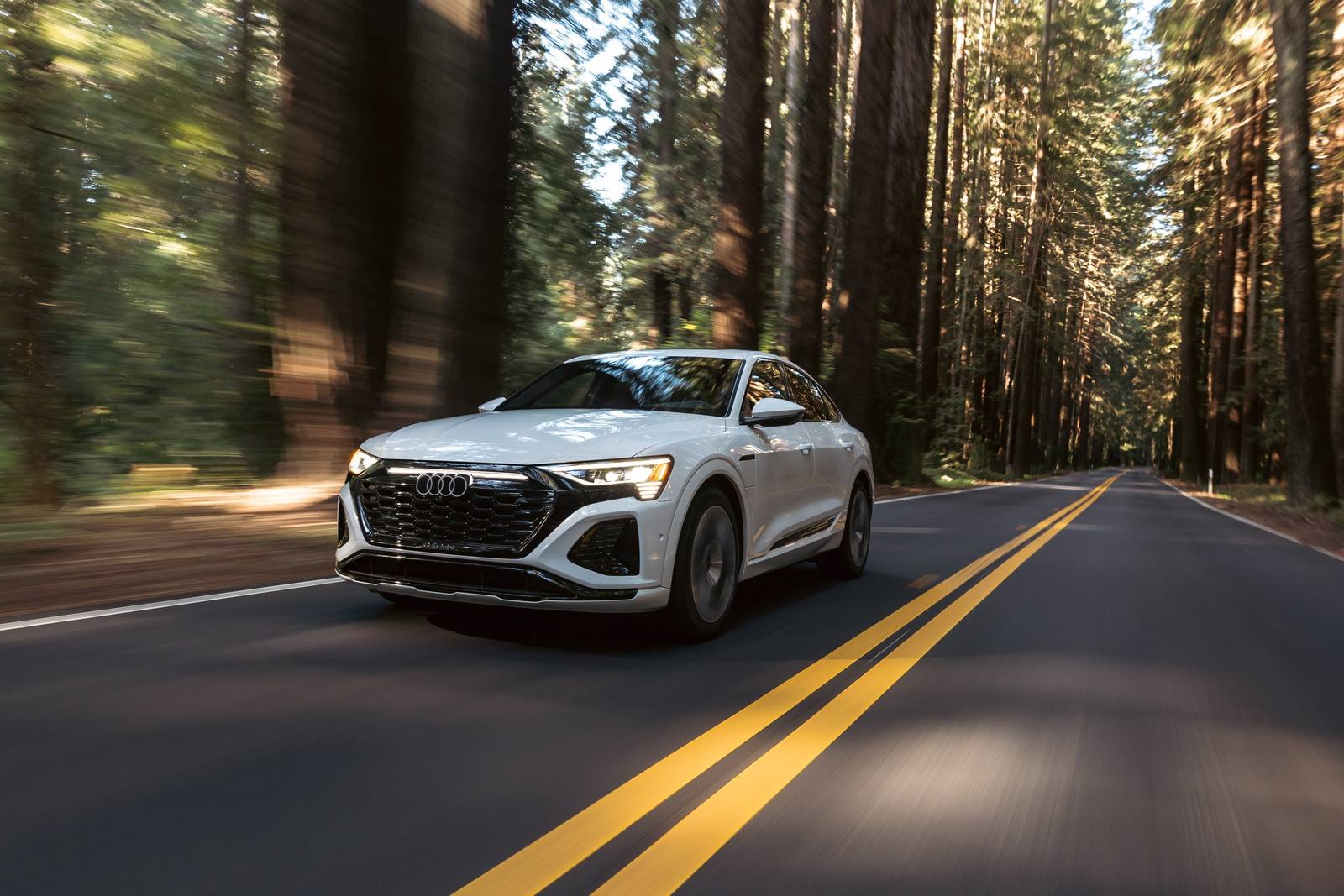 Q8 55 Sportback e-tron