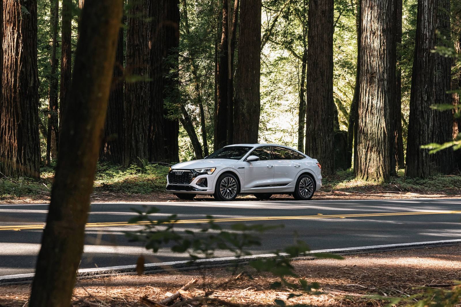 Q8 Sportback e-tron edition S line