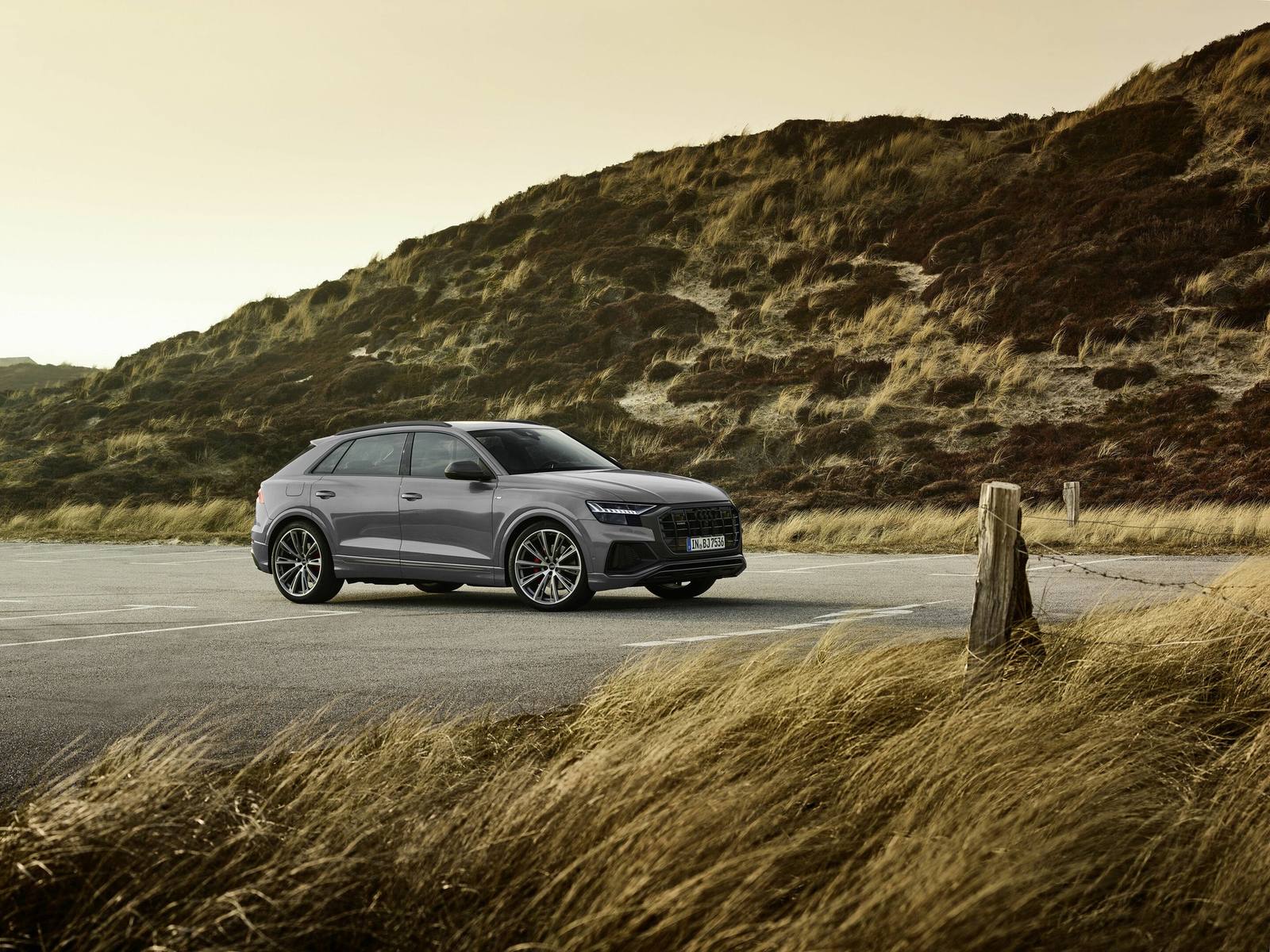 Q8 50 TDI quattro competition plus