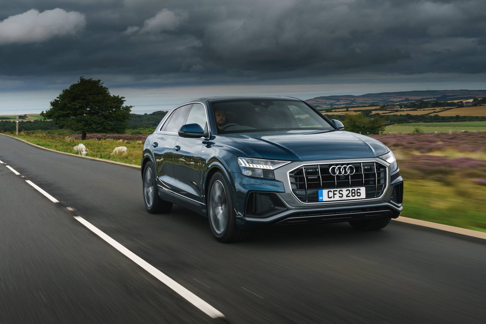 Q8 50 TDI quattro competition plus
